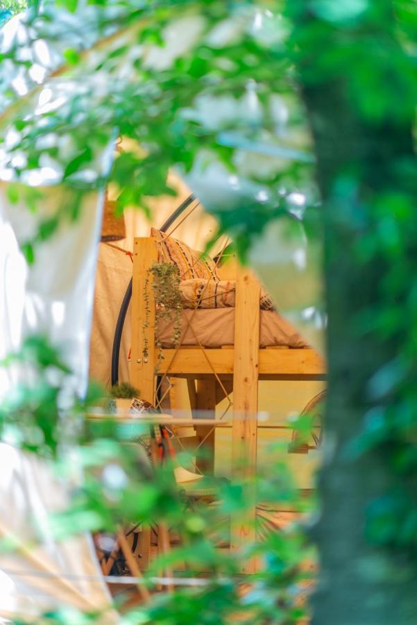 布拉索夫 Dragonfly Gardens - The Wagons酒店 外观 照片